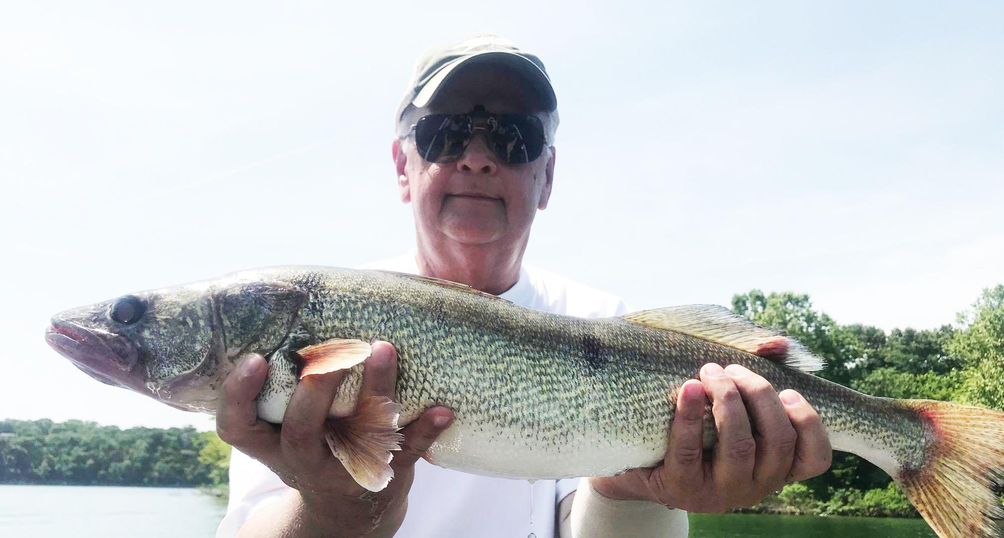 More information about "Table Rock 6-11-18 White River Arm"