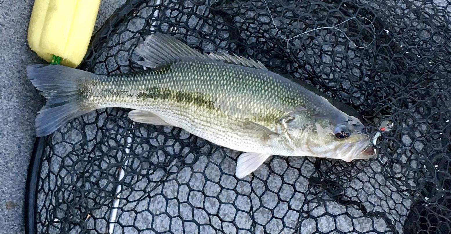 More information about "After the Front on the Upper End."