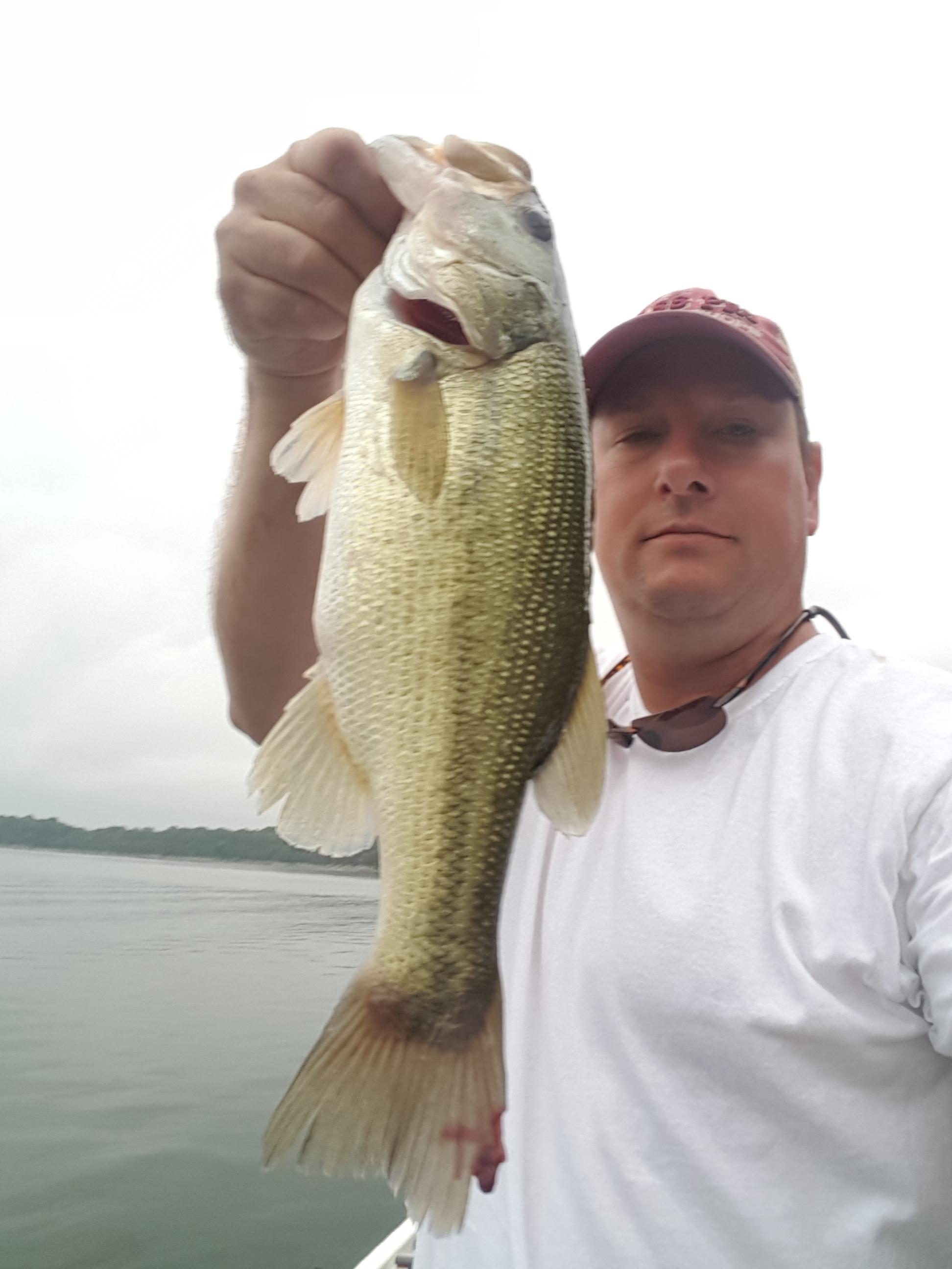 More information about "Cape Fair 7/29"