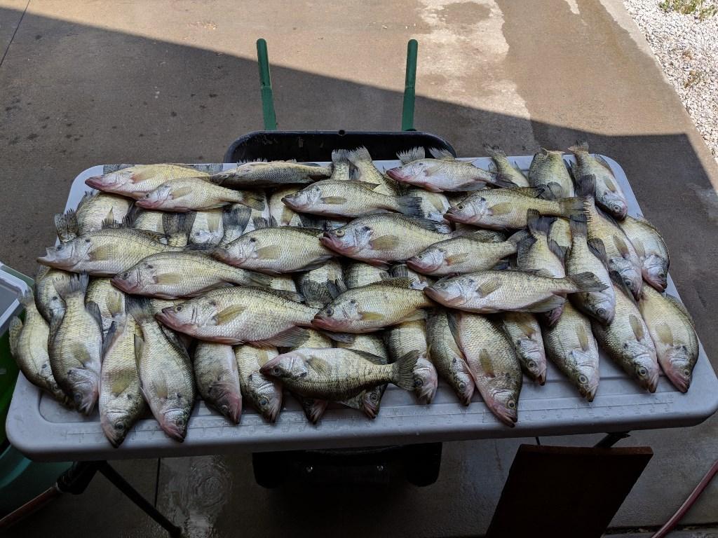 More information about "WEEKEND CRAPPIE"