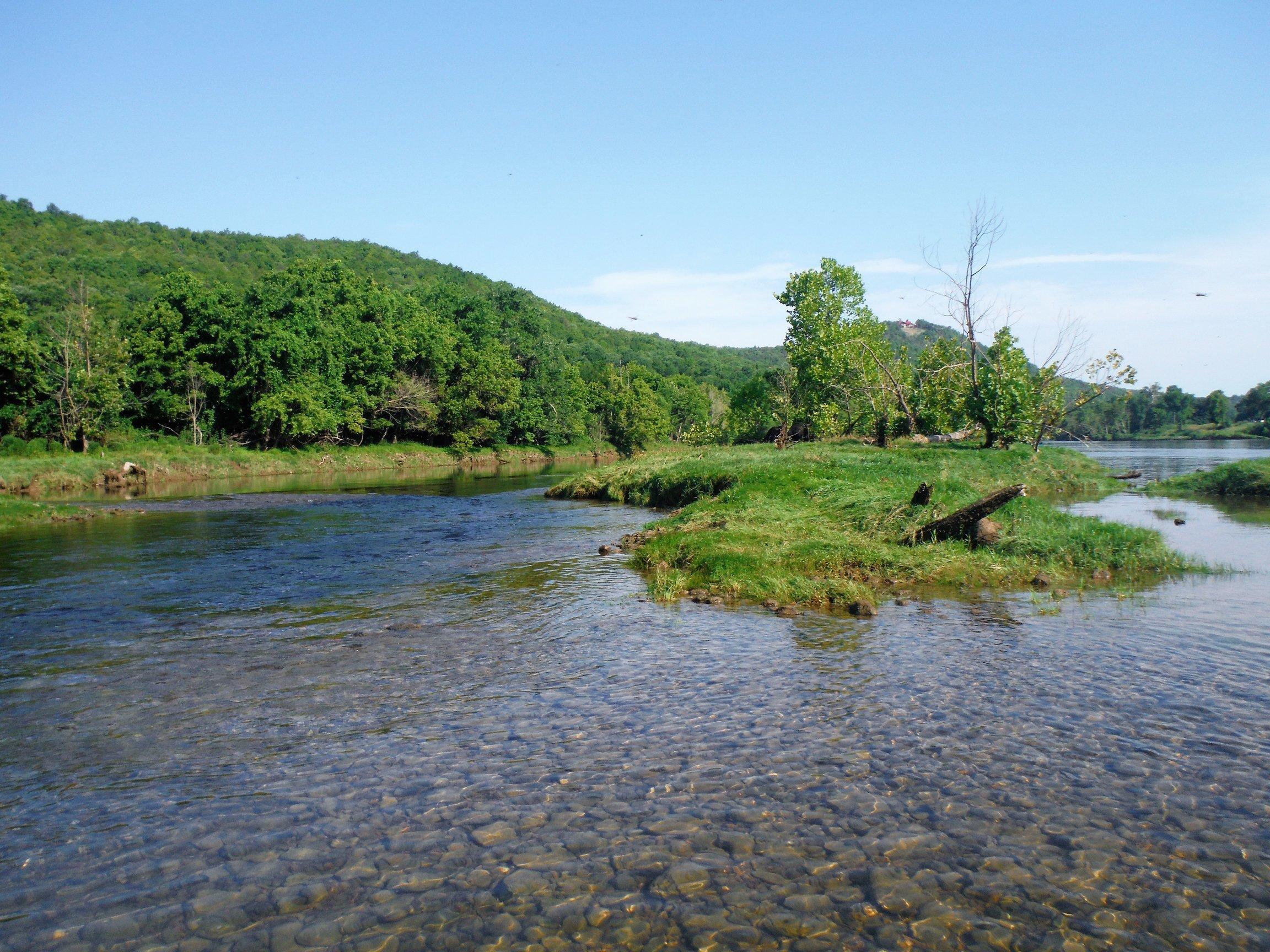 More information about "White river browns  7/14"