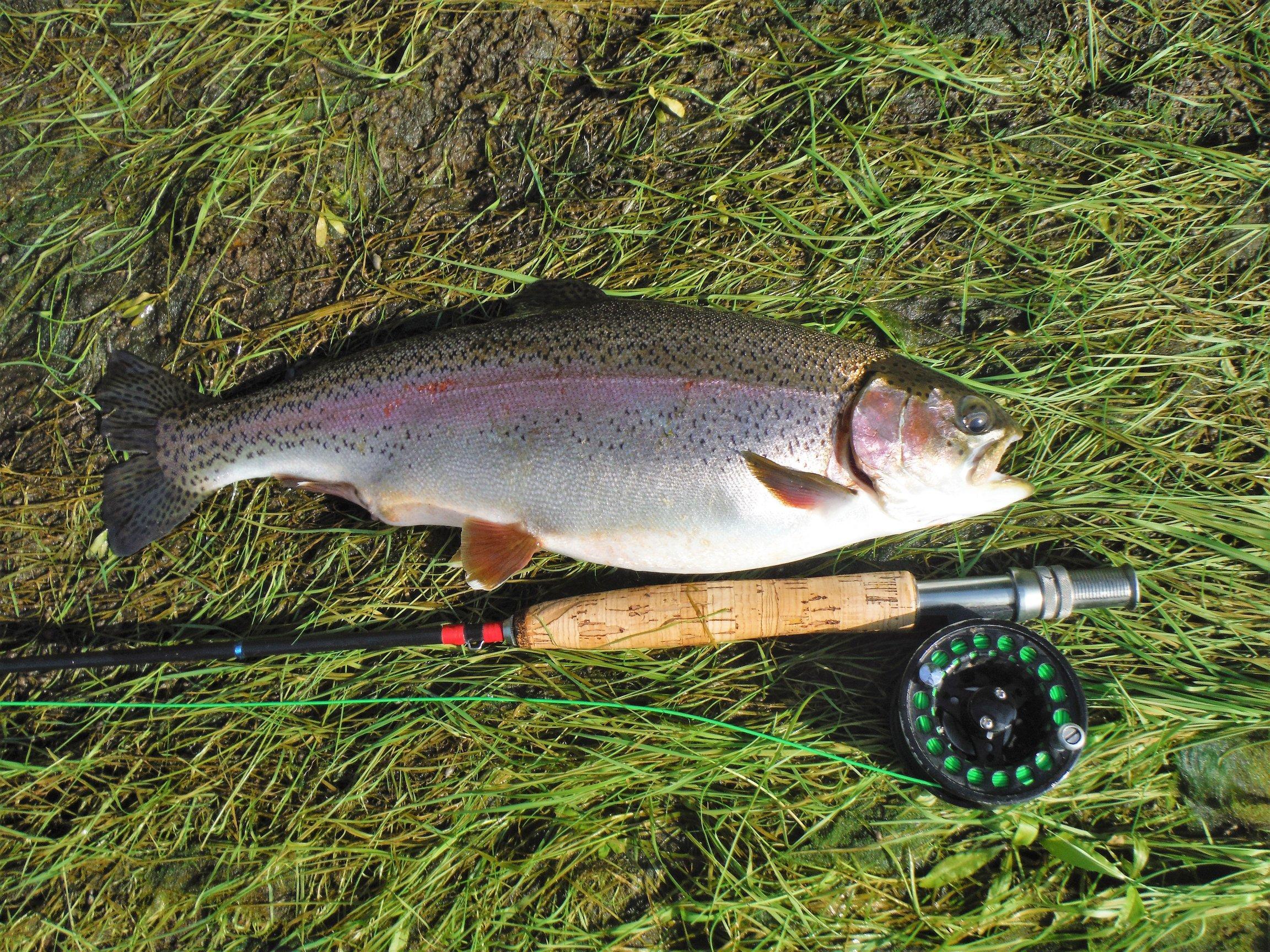 More information about "White river fatties 7/19"