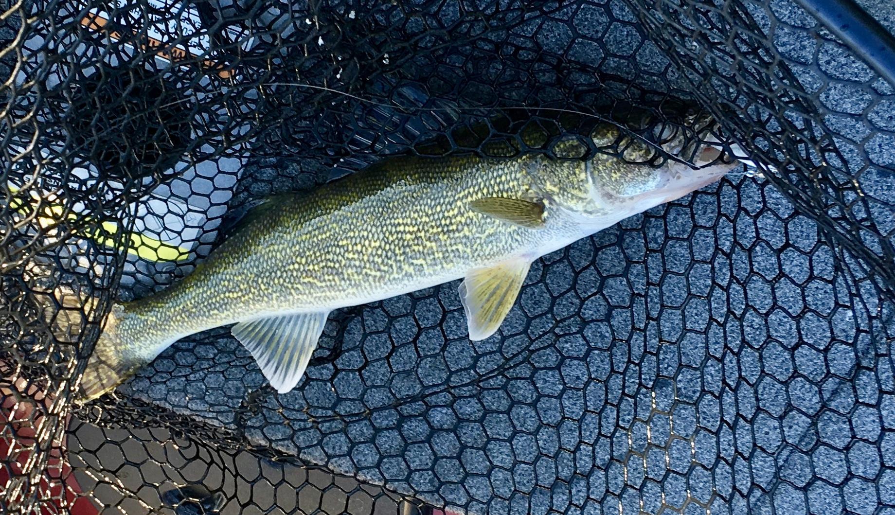 More information about "Saturday Evening on the Upper End"