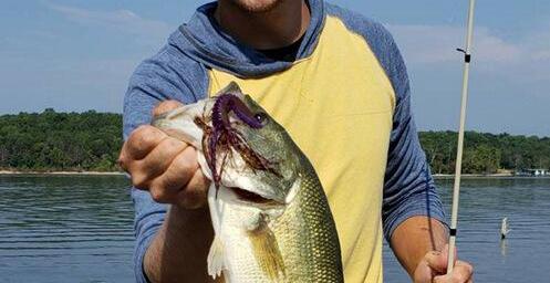 More information about "Aug. 24-26 Dam Area Good Deep Bite"