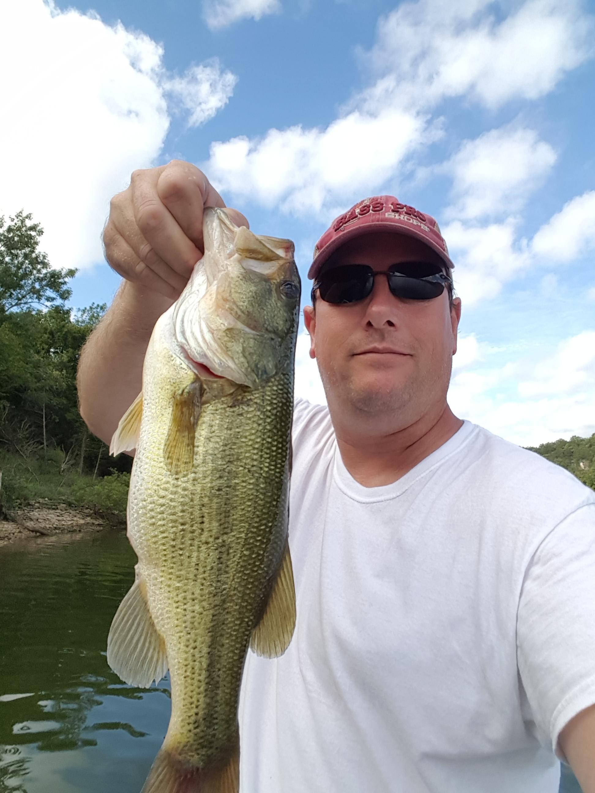 More information about "Cape Fair 9/3/18"