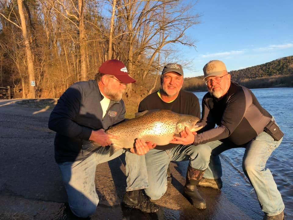 More information about "New Missouri State Record Brown Trout, 2/23/19"