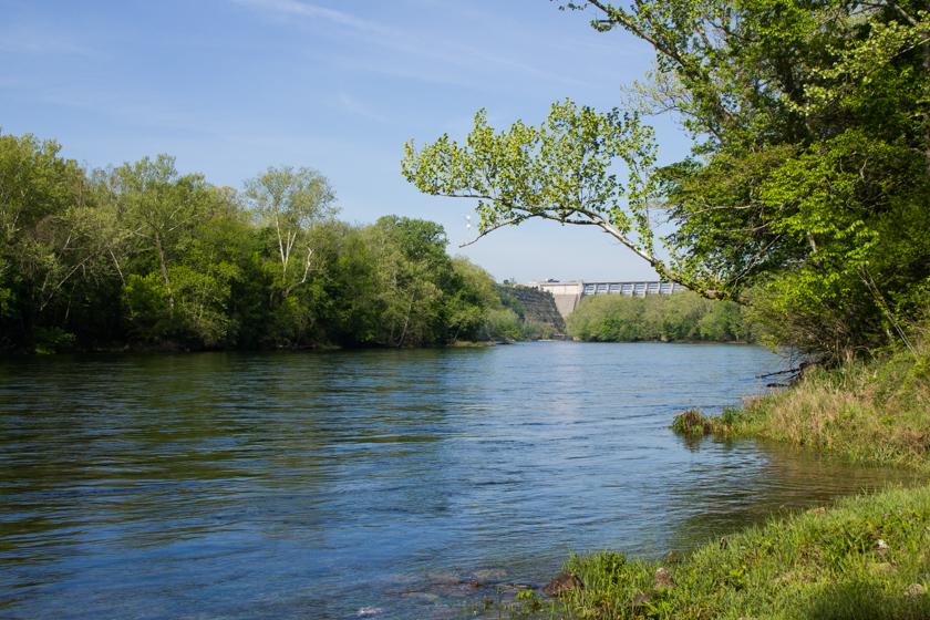 More information about "2018 Lake Taneycomo Study"