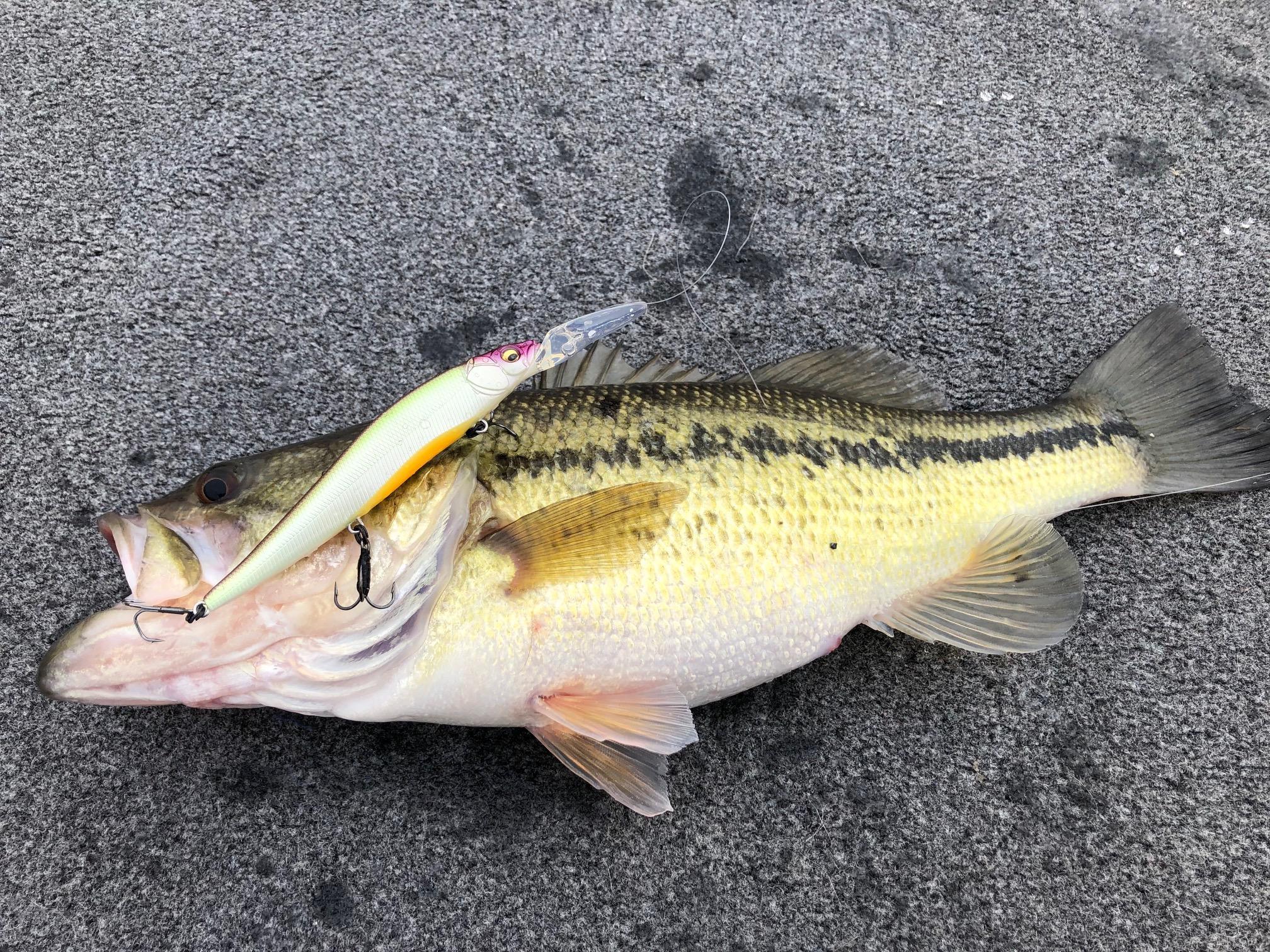 More information about "About to Break Loose. 3-11-19"