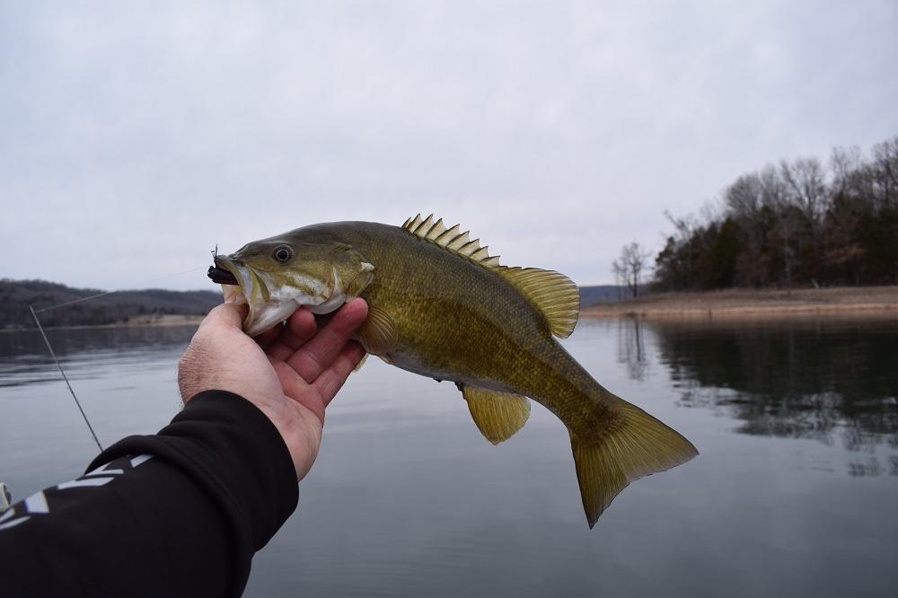 More information about "Indian Creek, March 10"