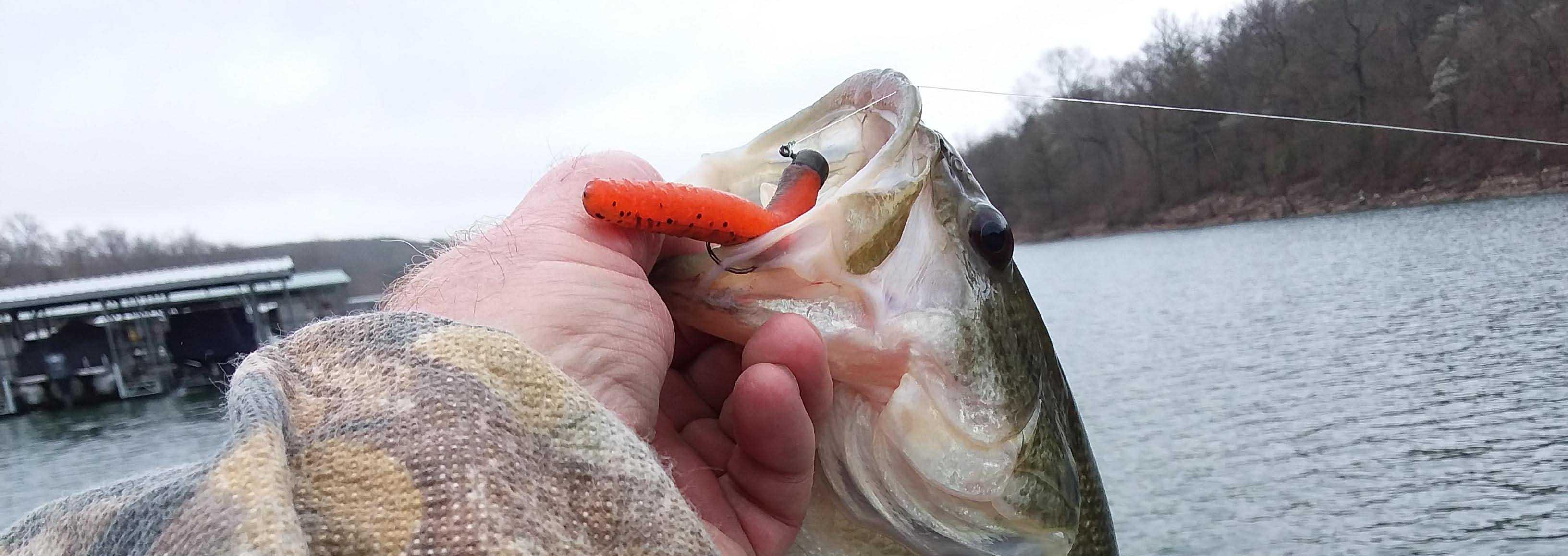 More information about "Kentucky slug fest Saturday 3/30"