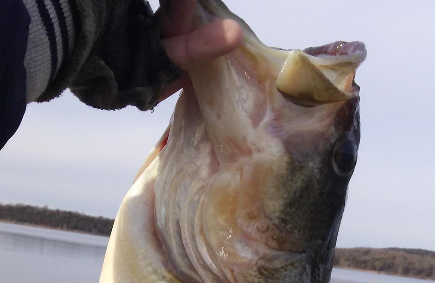 More information about "Kim City - April 1st - underspin"