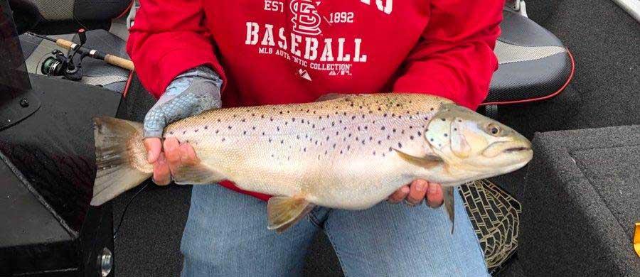 More information about "April 9 Taneycomo Fishing Report"