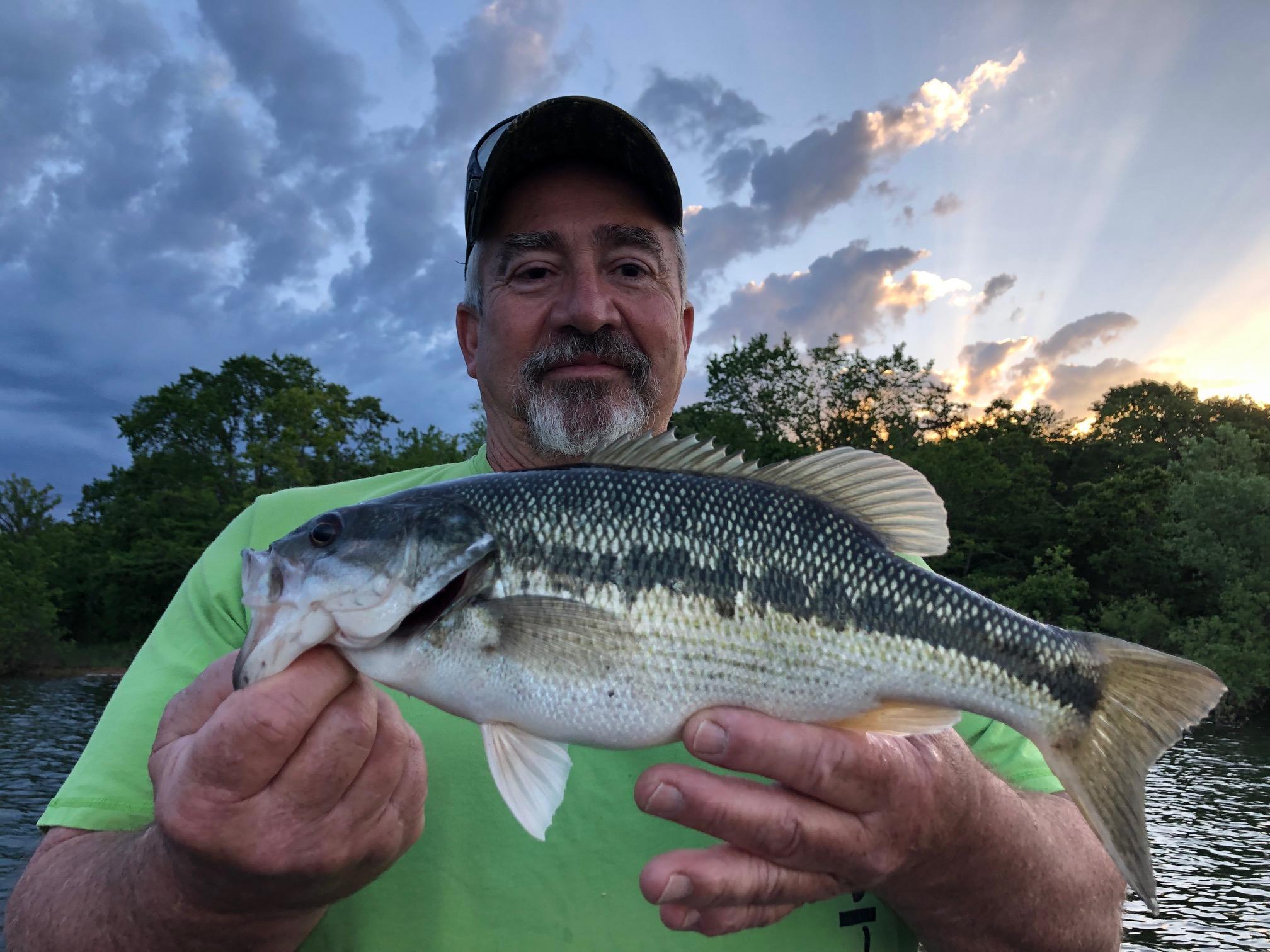 More information about "5-26-19 Table Rock Lake/Lampe Mo,. Report"