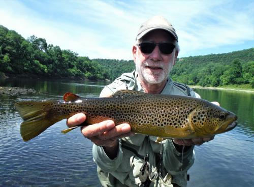 More information about "Sulphurs were thick this morning 6/25"