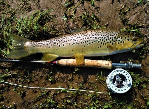 More information about "Cotter access 5/31"