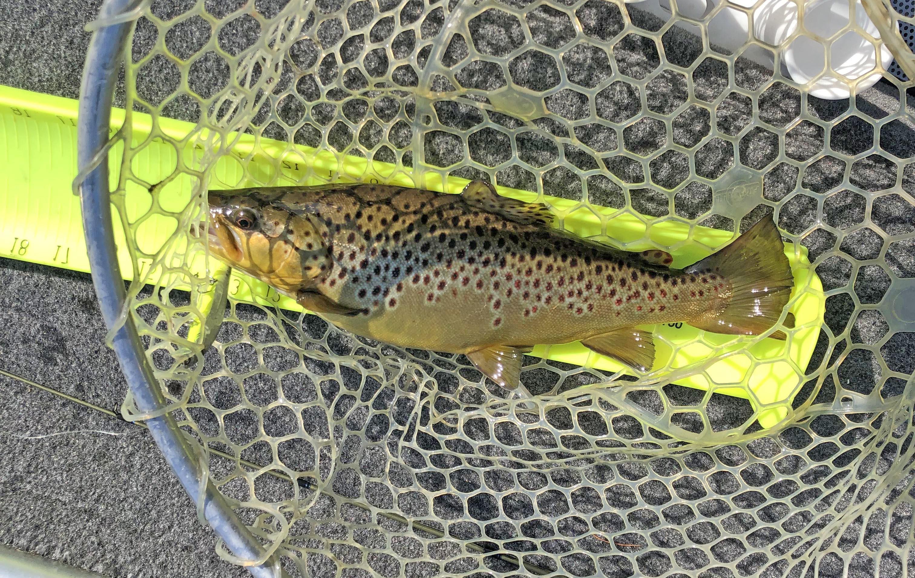 More information about "Vacation Trip Report"