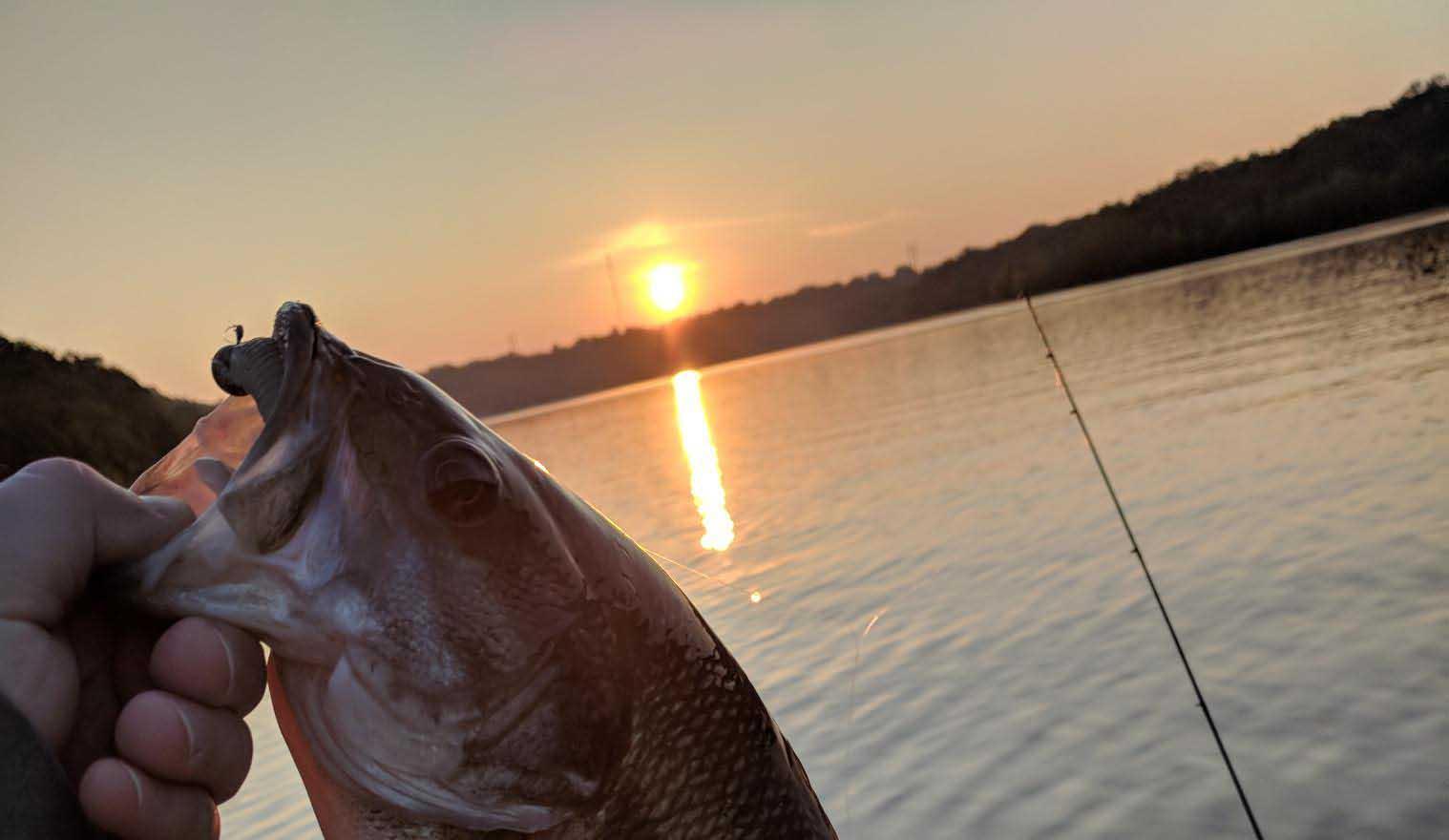 More information about "Shell Knob 7/27 and 7/28"