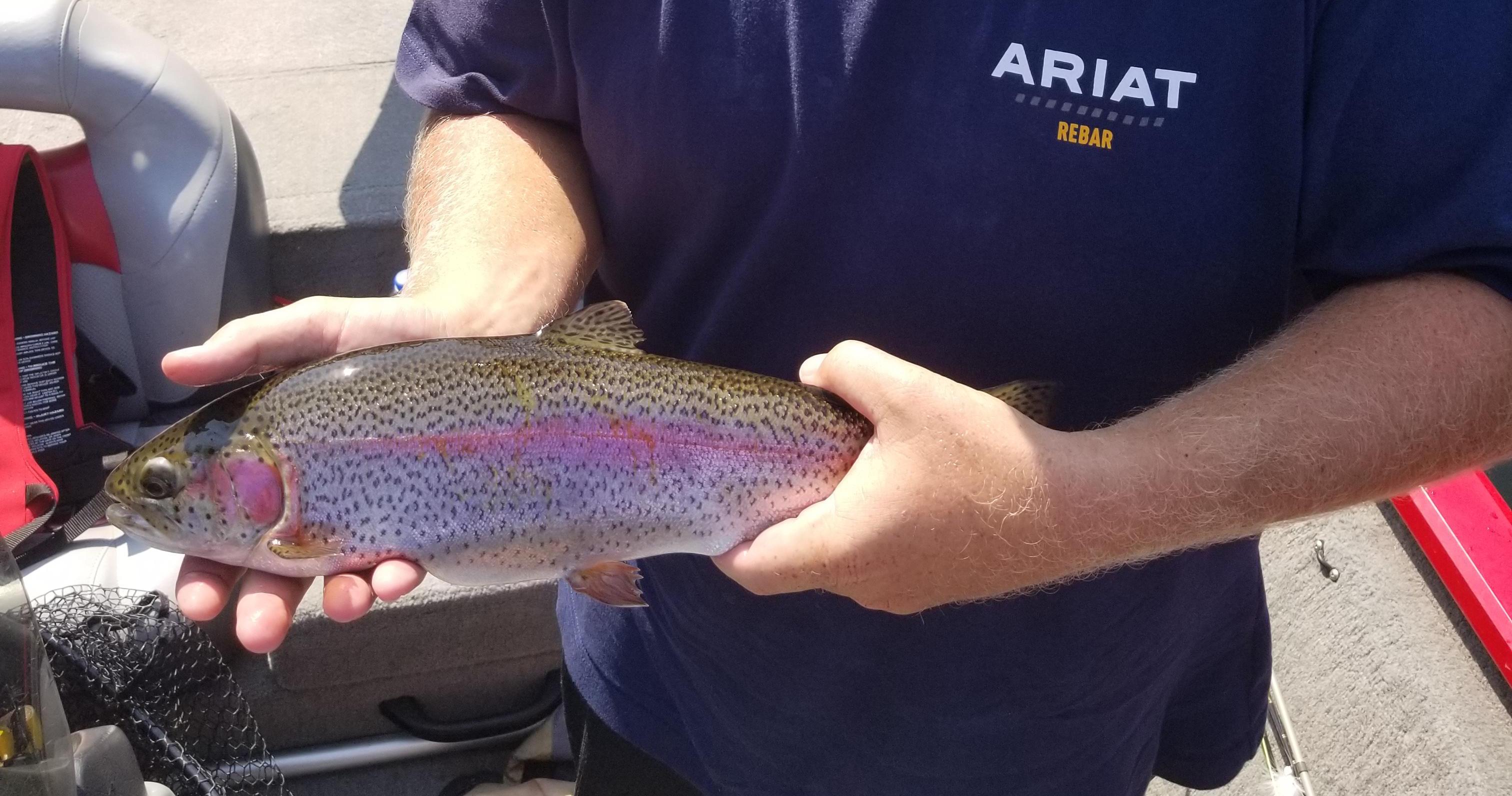 More information about "9/4 thru 9/7 report"