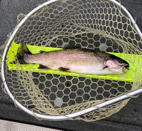 More information about "Labor Day weekend report"