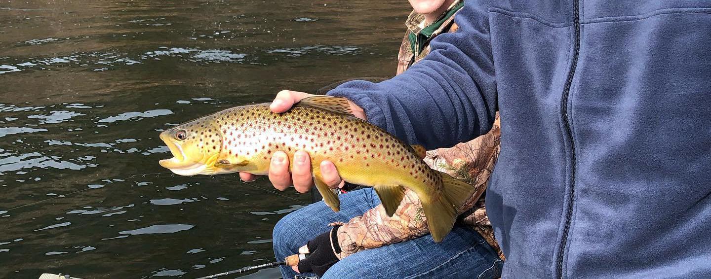 More information about "Lilley's Lake Taneycomo Fishing Report, January 1, 2020"