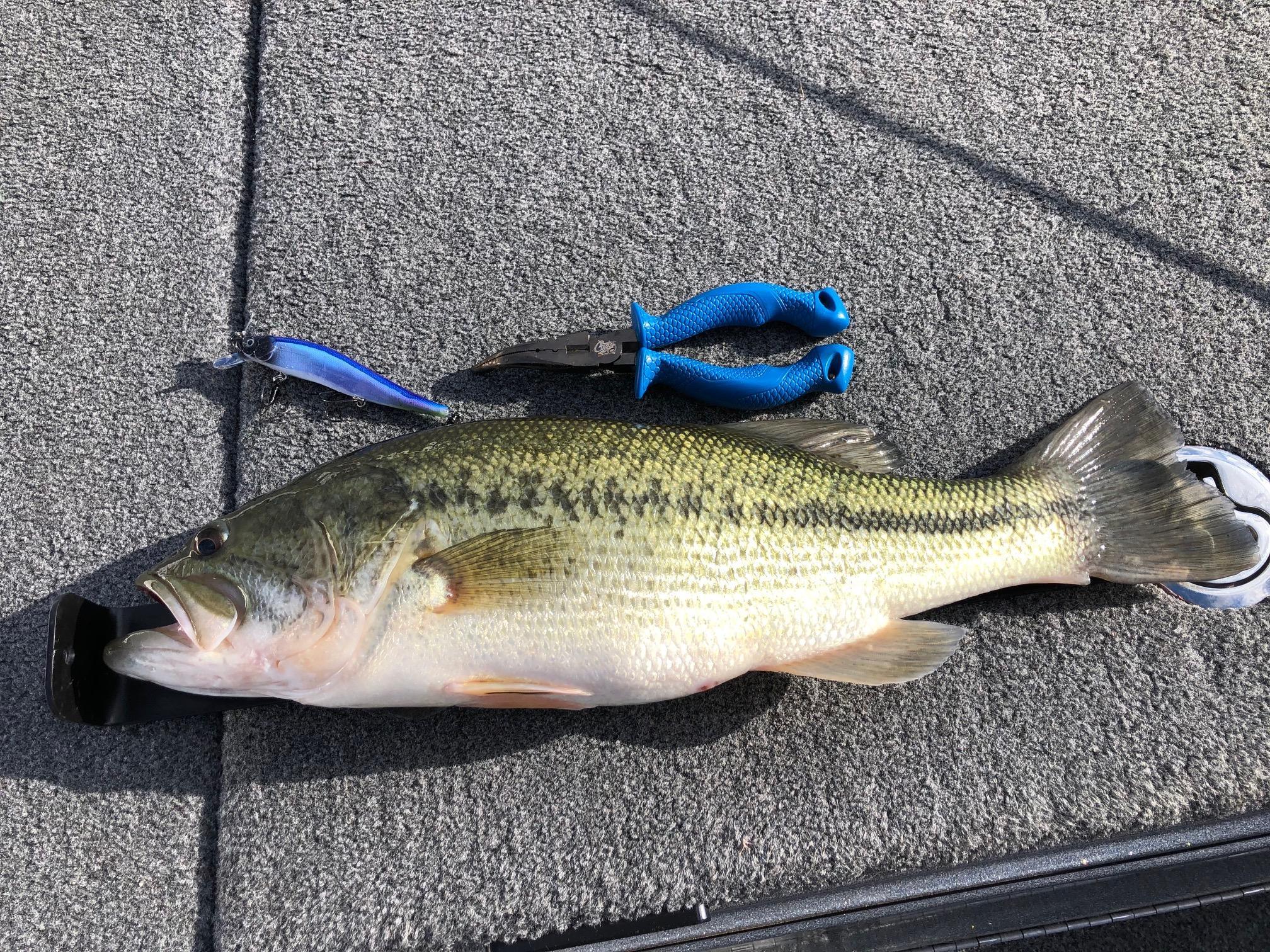 More information about "Friday, February 7th. Afternoon Report"