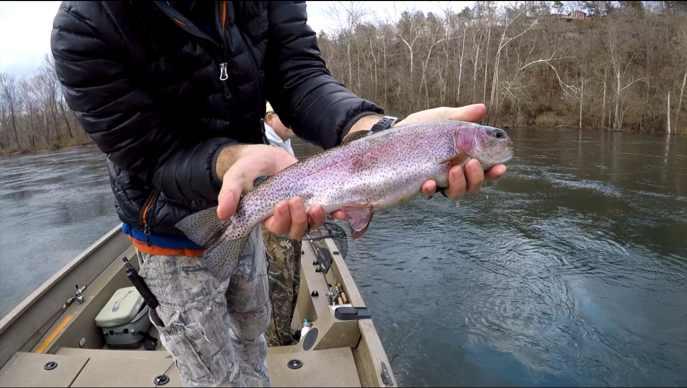 More information about "Lilley's Lake Taneycomo Fishing Report, February 11"