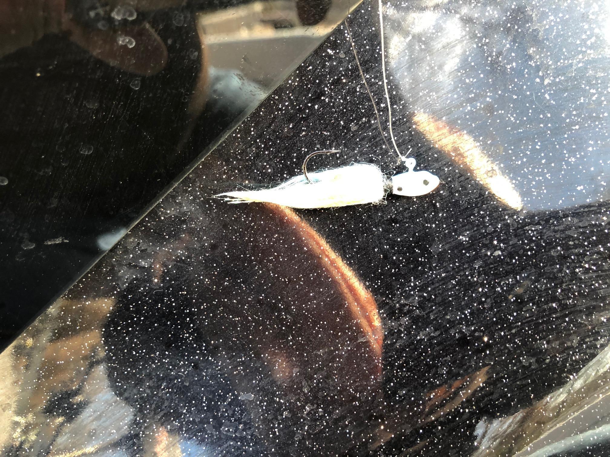 More information about "Float-N-Fly Primer March 4 2020"