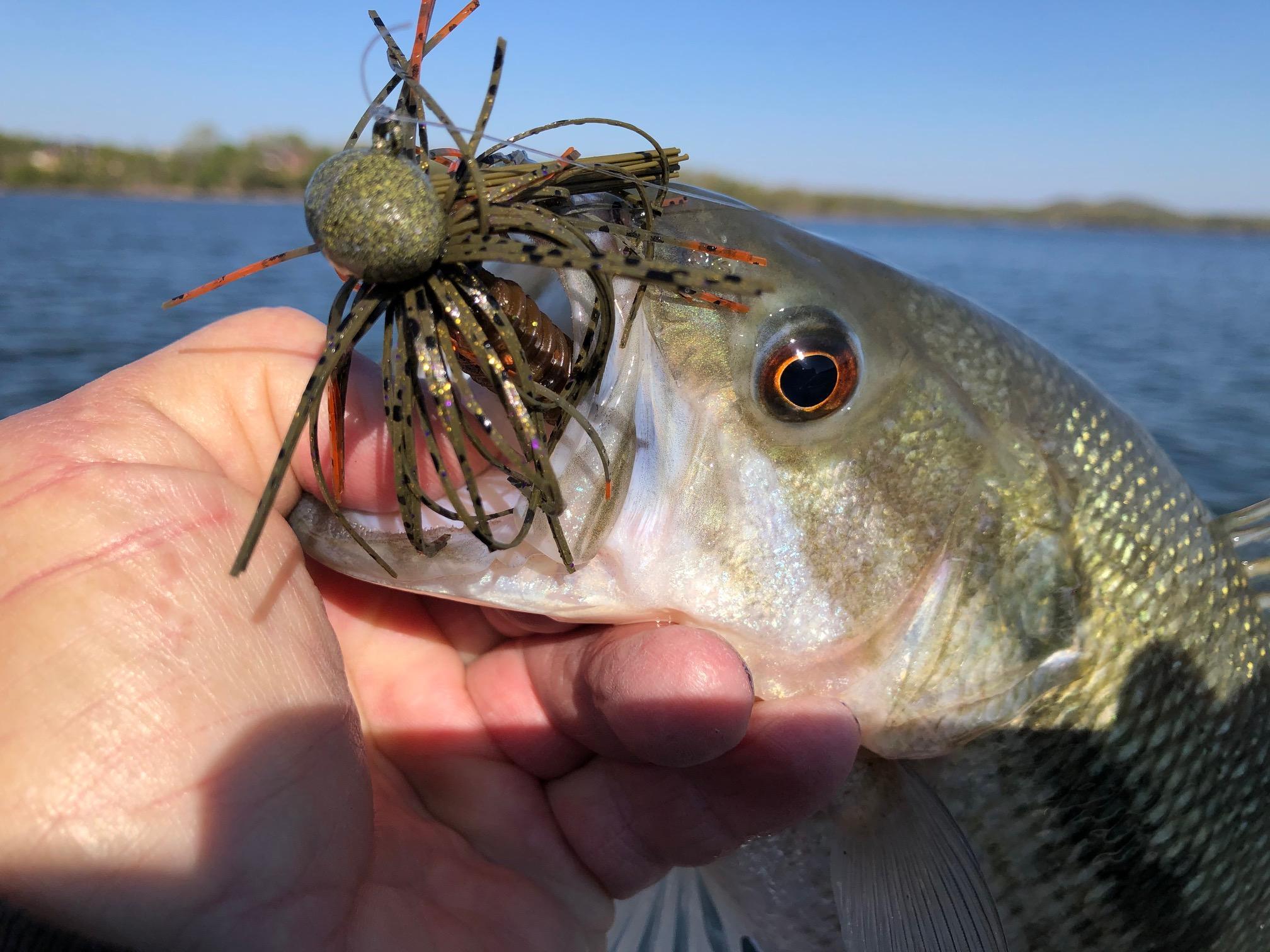 More information about "I Truly Wish It Would Have Been You"