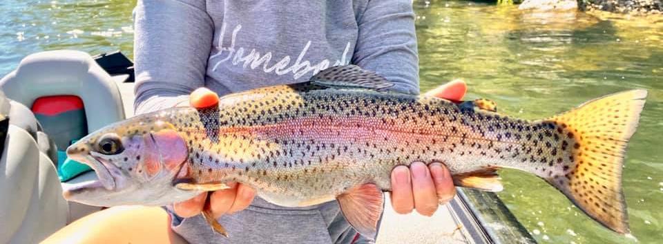 More information about "Lilley's Lake Taneycomo fishing report, June 10"