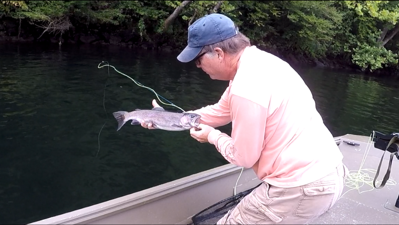 More information about "Lilley's Lake Taneycomo fishing report, August 11"