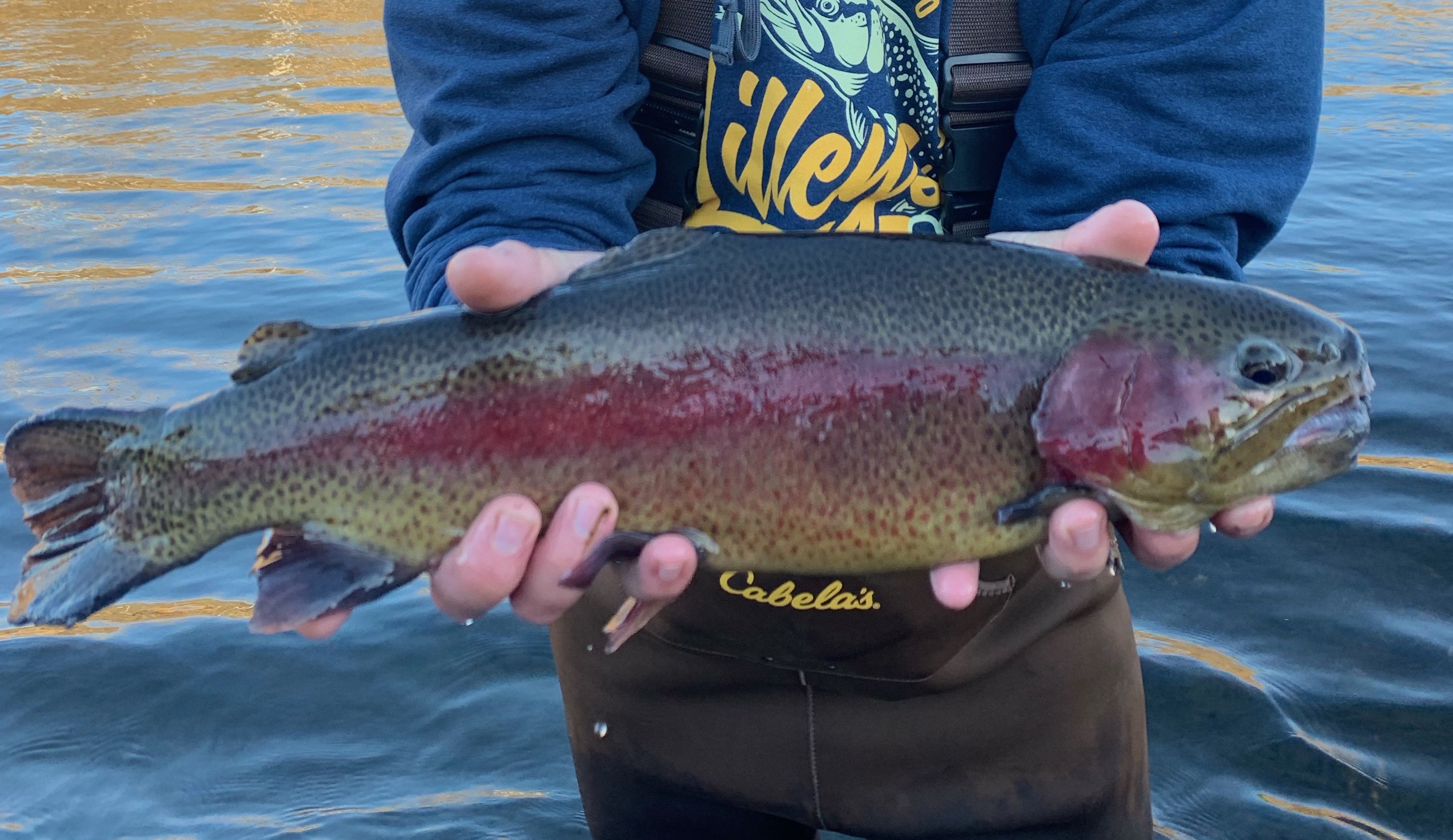 More information about "Lilley's Lake Taneycomo Fishing Report, January 1, 2021"