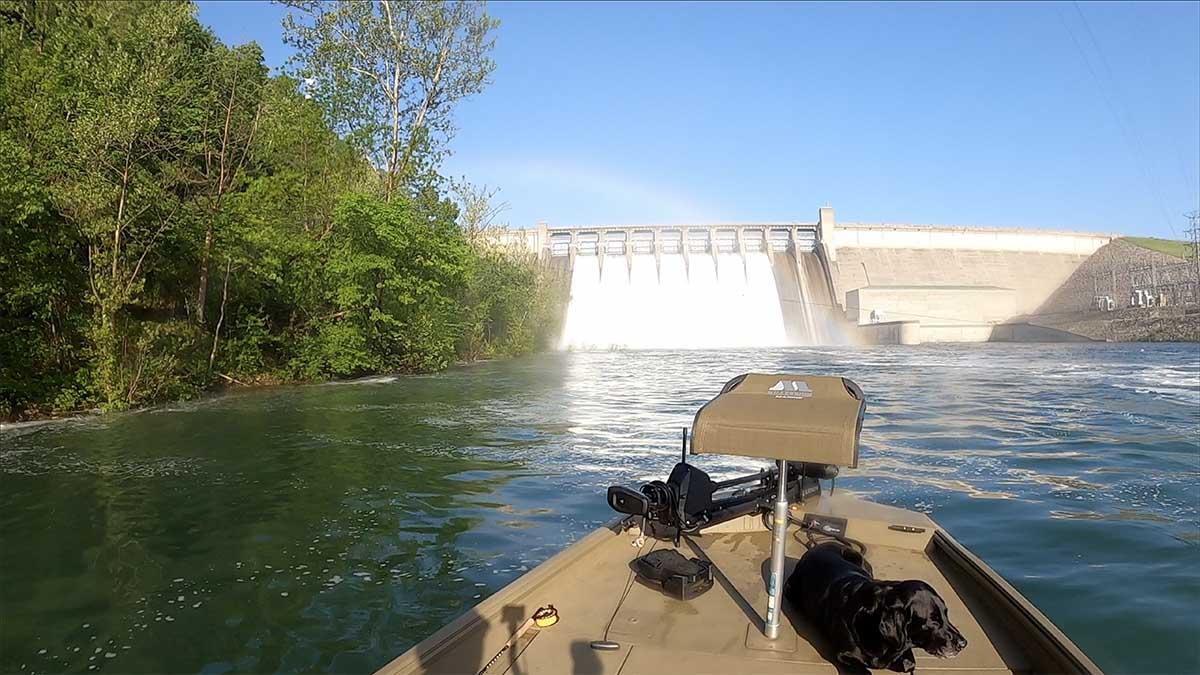 More information about "Lilley's Lake Taneycomo Fishing Report, May 14"